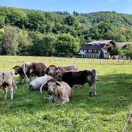 Gut Kallerbend Nideggen