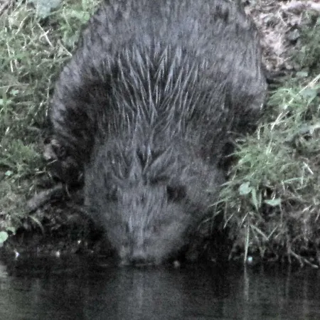Gut Kallerbend Apartman *
