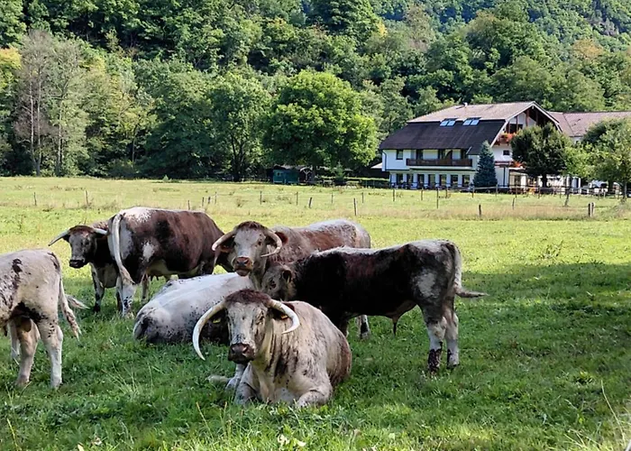 Gut Kallerbend Nideggen